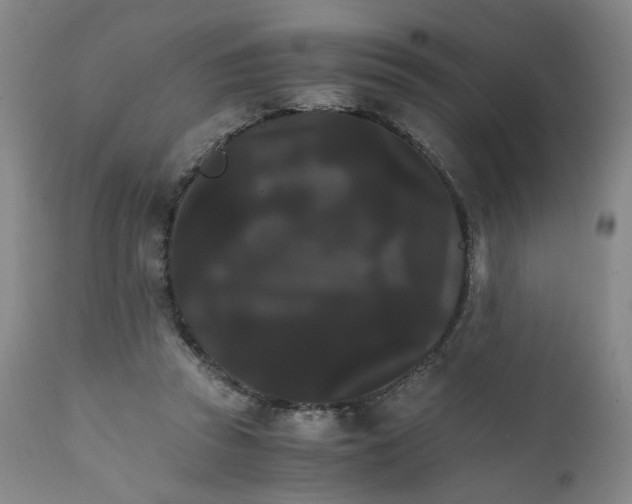 X0000111230353200907231510