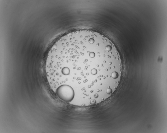 X0000111230354200907231510