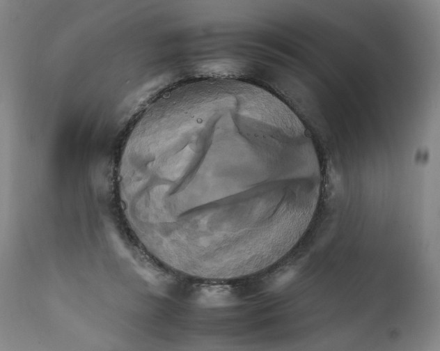 X0000111230355200907231510