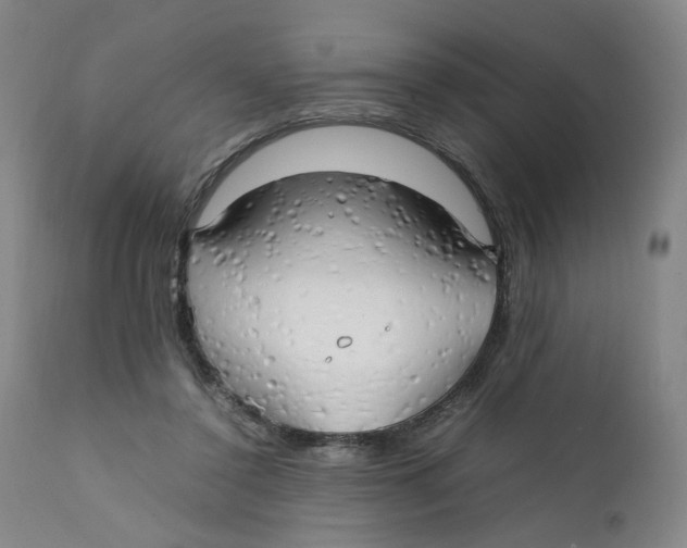 X0000111230356200907231510