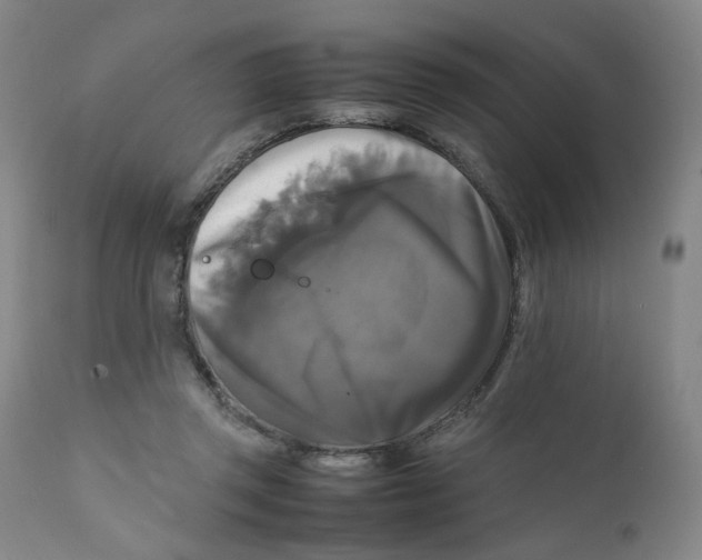 X0000111230357200907231510