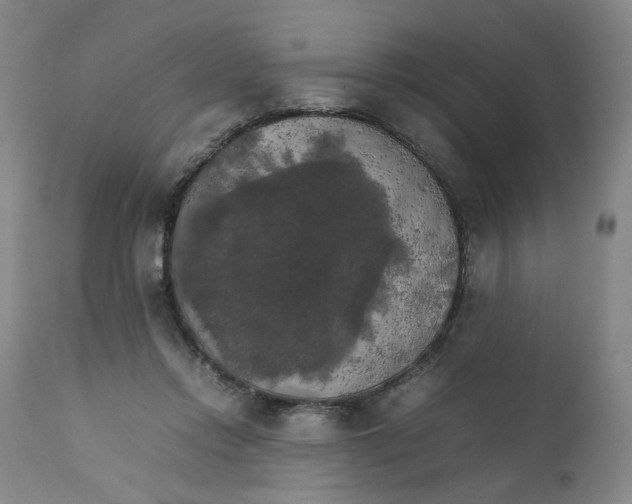 X0000111230358200907231510