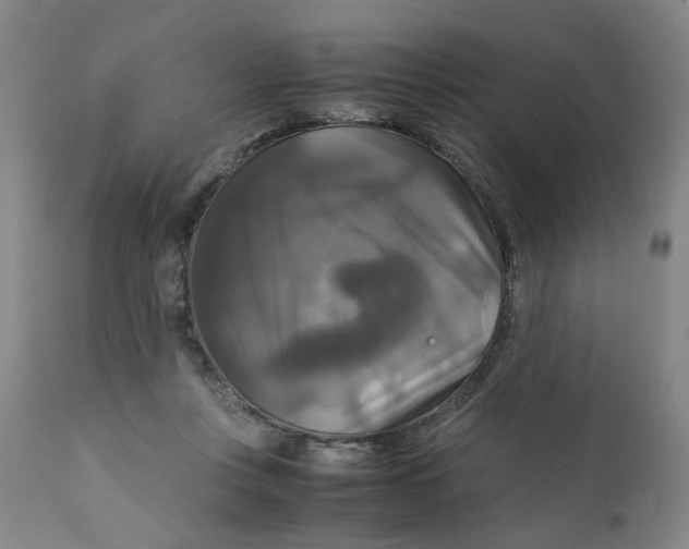 X0000111230359200907231510