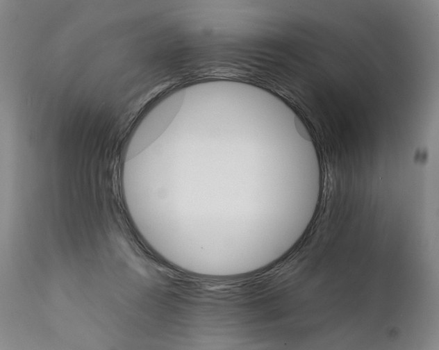 X0000111230360200907231510