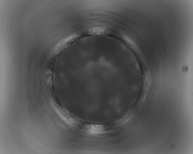 X0000111230361200907231510