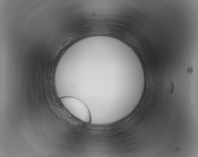 X0000111230362200907231510