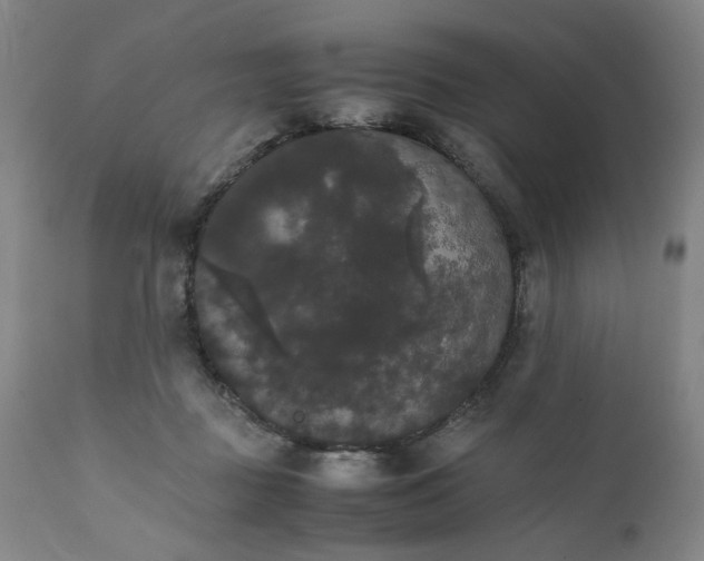 X0000111230363200907231510