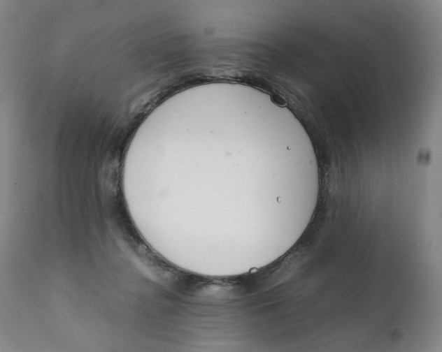 X0000111230364200907231510