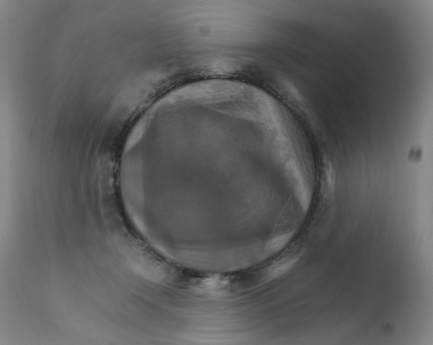 X0000111230366200907231510