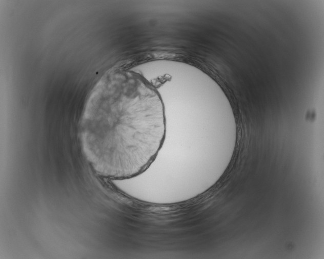 X0000111230367200907231510