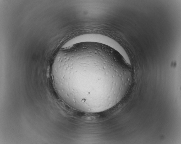 X0000111230368200907231510