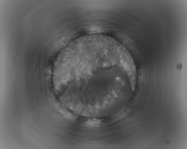 X0000111230369200907231510