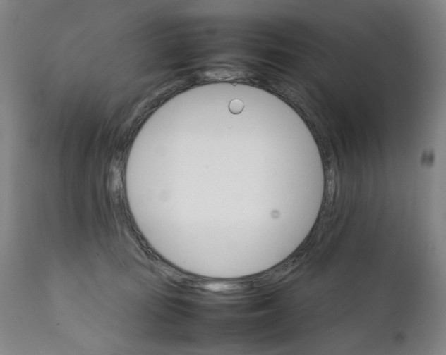 X0000111230371200907231510