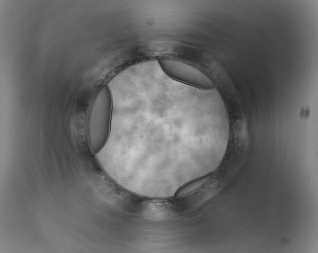 X0000111230372200907231510