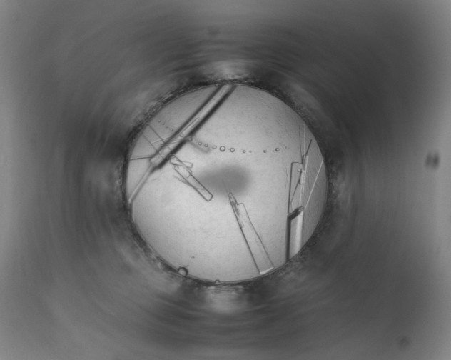 X0000111230373200907231510