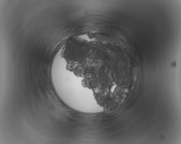 X0000111230374200907231510