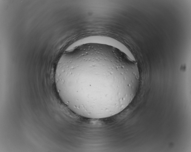 X0000111230376200907231510