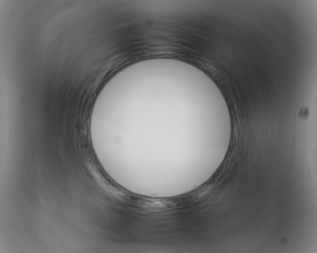 X0000111230379200907231510