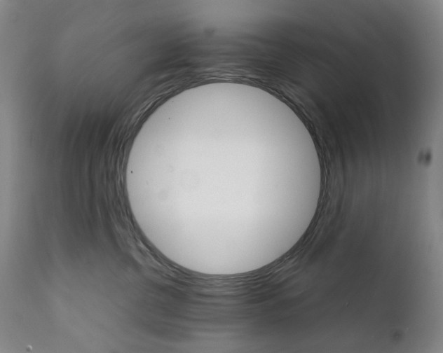 X0000111230380200907231510