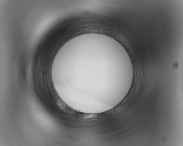 X0000111230382200907231510