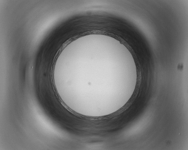 X0000111230383200907231510