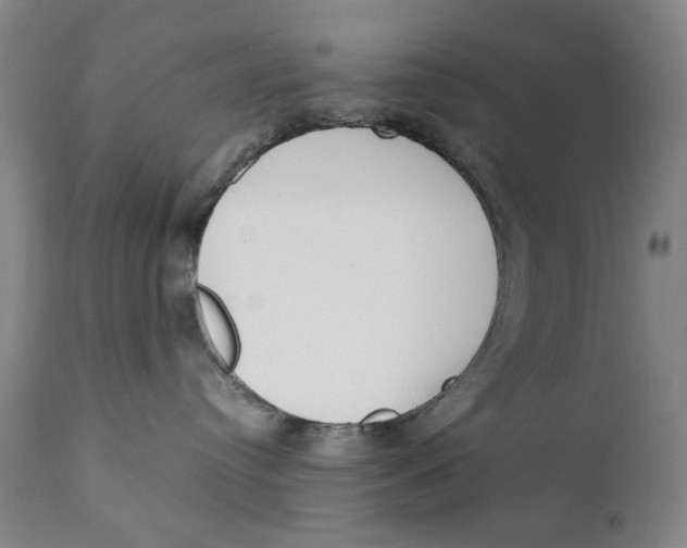 X0000111230384200907231510