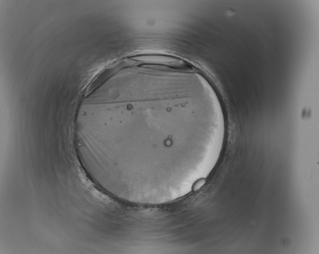 X0000111230385200907231509