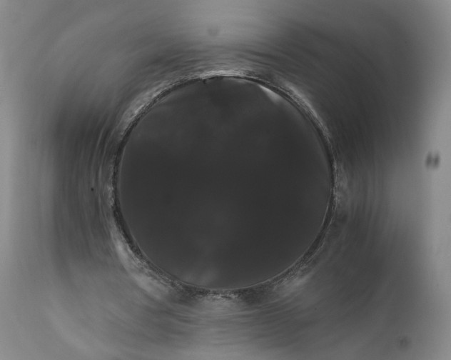 X0000111230386200907231509