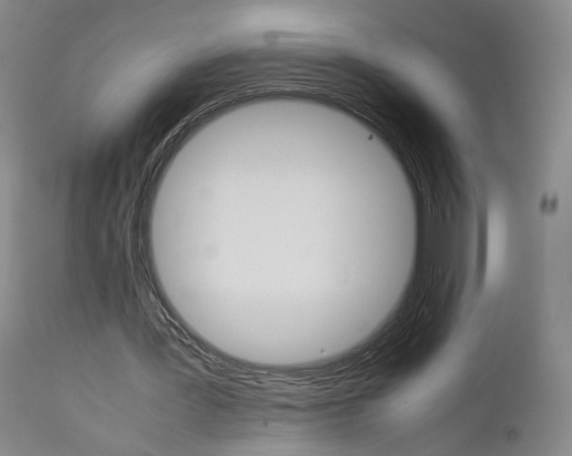 X0000111230387200907231509