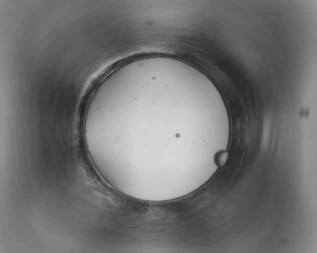 X0000111230388200907231509