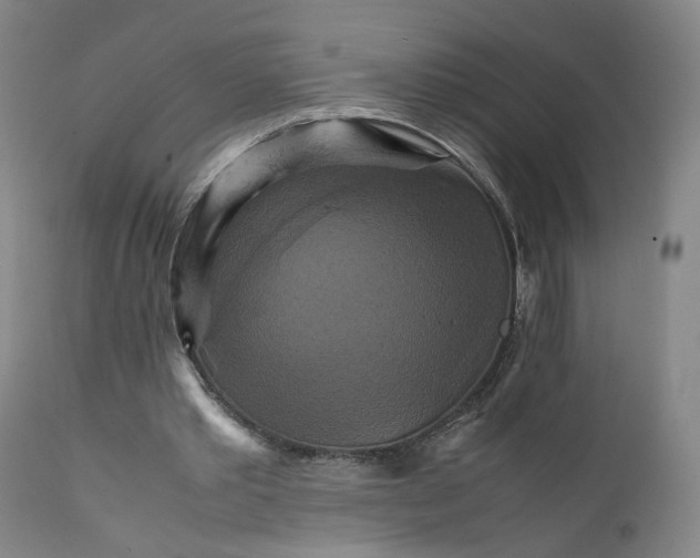 X0000111230389200907231509