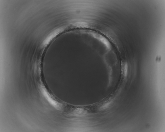 X0000111230390200907231509