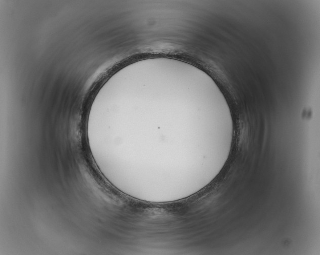 X0000111230392200907231509