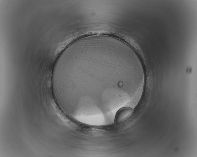 X0000111230393200907231509