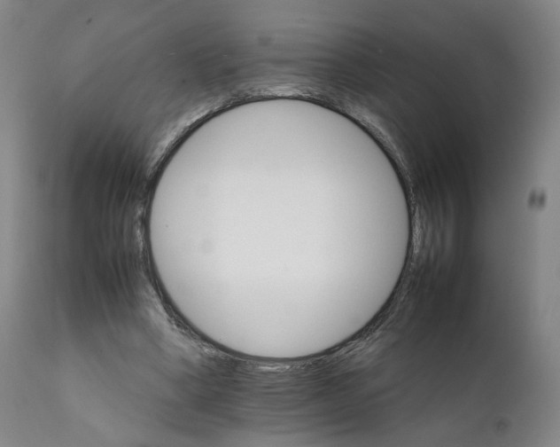 X0000111230394200907231509