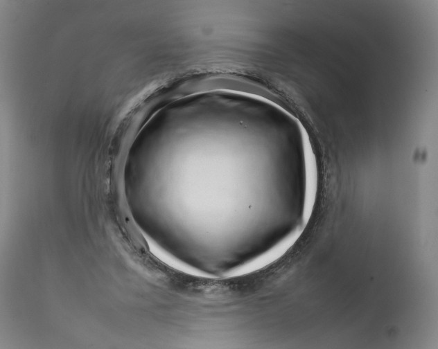 X0000111230395200907231509