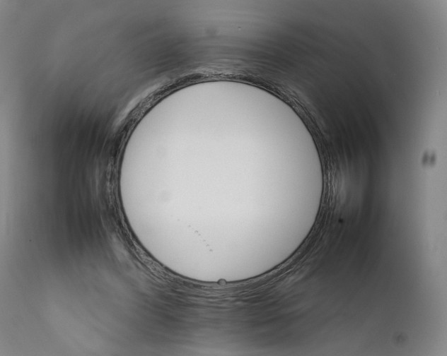 X0000111230396200907231509