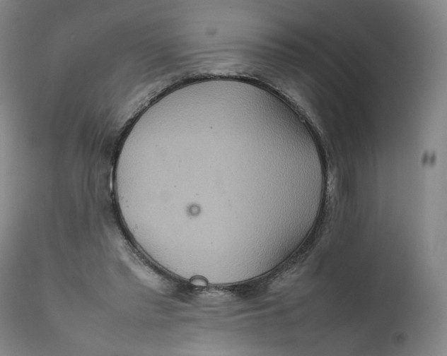 X0000111230397200907231509