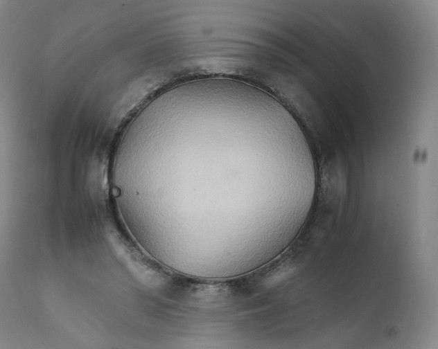 X0000111230398200907231509