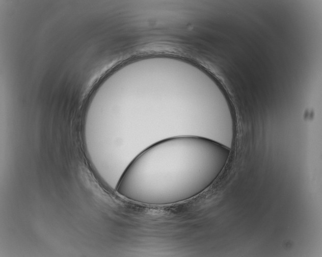 X0000111230399200907231509