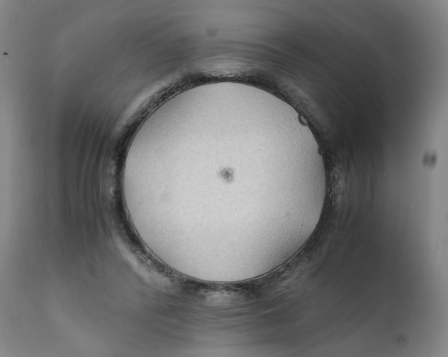 X0000111230400200907231509