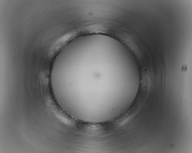 X0000111230402200907231509