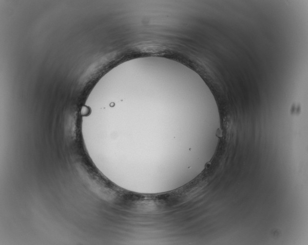 X0000111230404200907231509