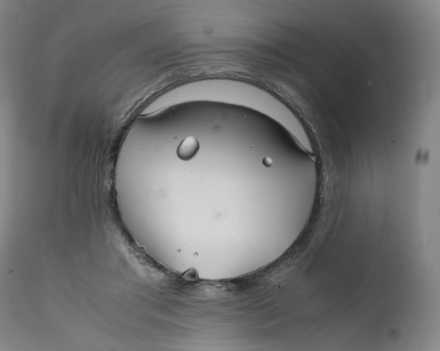 X0000111230405200907231509