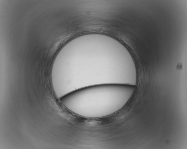 X0000111230407200907231509