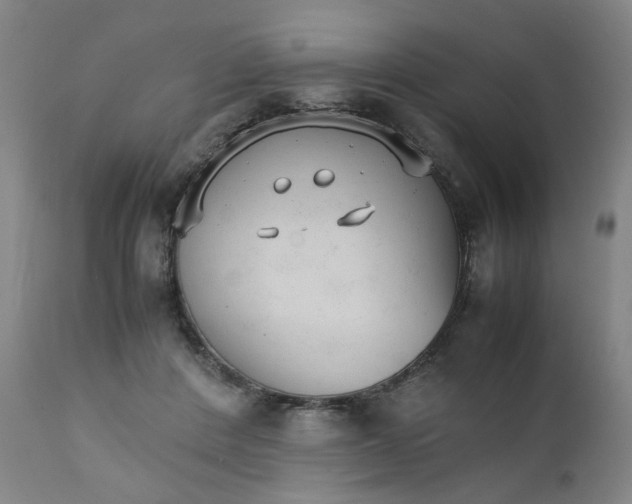 X0000111230408200907231509