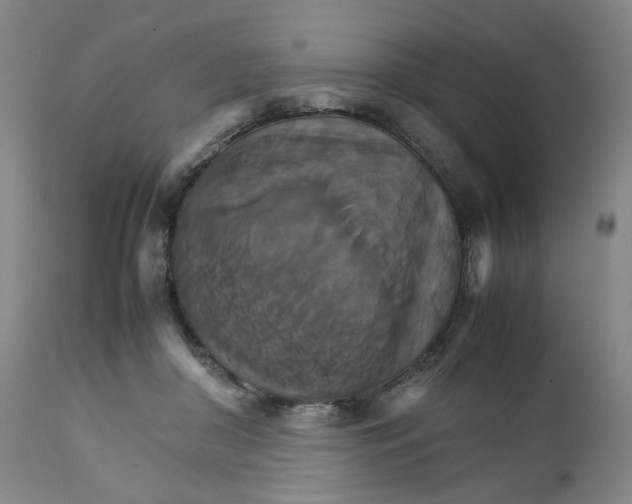 X0000111230410200907231509