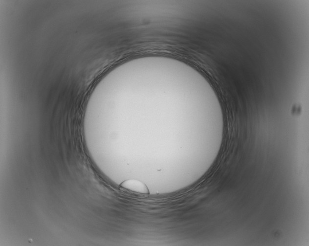 X0000111230411200907231509