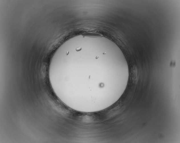 X0000111230412200907231509