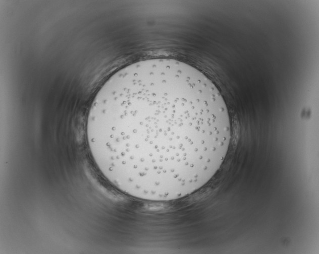 X0000111230414200907231509